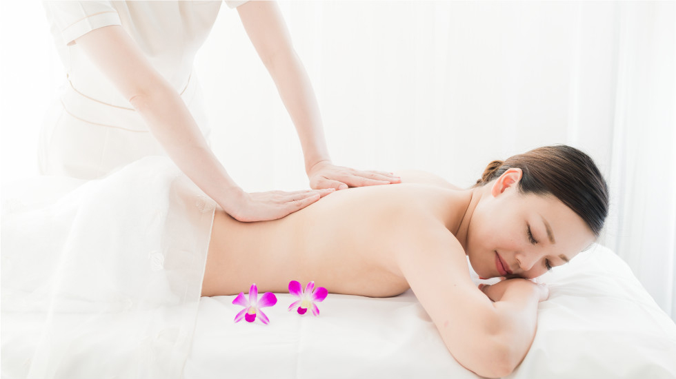 キャンペーンメニュー